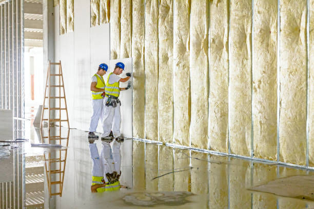 Best Blown-in Insulation in Nowthen, MN